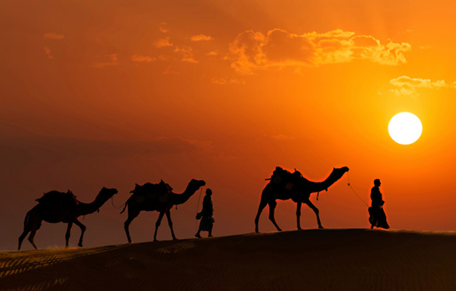 Winter Special Tour with Rajasthan 